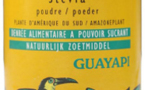Mousse au chocolat à la Stevia : Une douceur du Paraguay pour les desserts !
