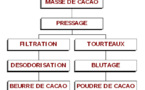 La fabrication du cacao en Poudre