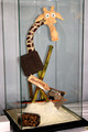 Madagascar le Film en chocolat Madagascar le Film en chocolat