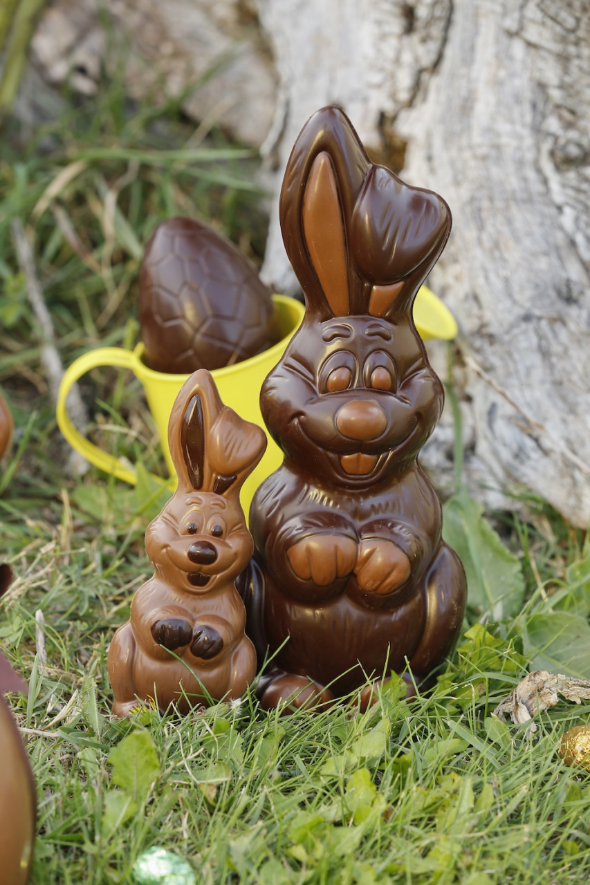 Moulages - Chocolaterie de Puyricard ©P.Doignon