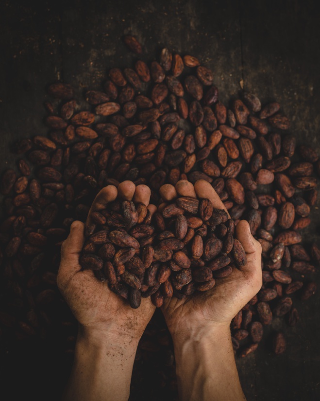 Fèves de cacao©pablo-merchan-montes