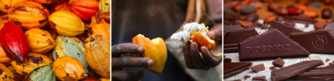 DiogoVaz© DiogoVaz©