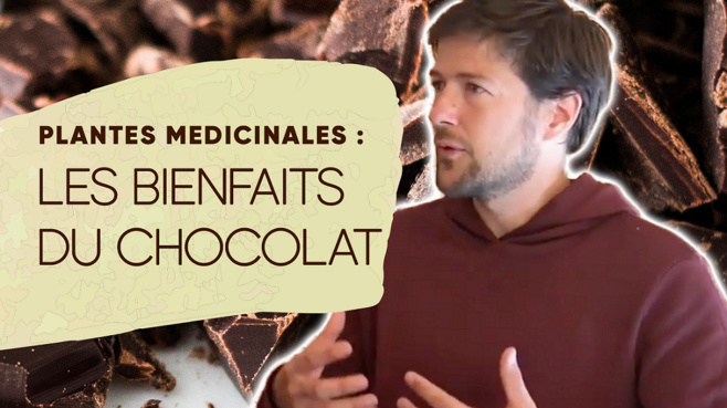 Interview avec Loïc Plission à propos du sommet des plantes médicinales©ChocoClic.com Interview avec Loïc Plission à propos du sommet des plantes médicinales©ChocoClic.com