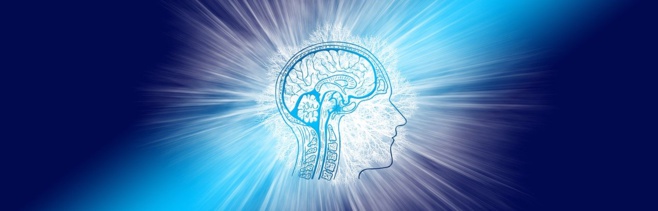 Le chocolat peut augmenter la puissance de votre cerveau Le chocolat peut augmenter la puissance de votre cerveau