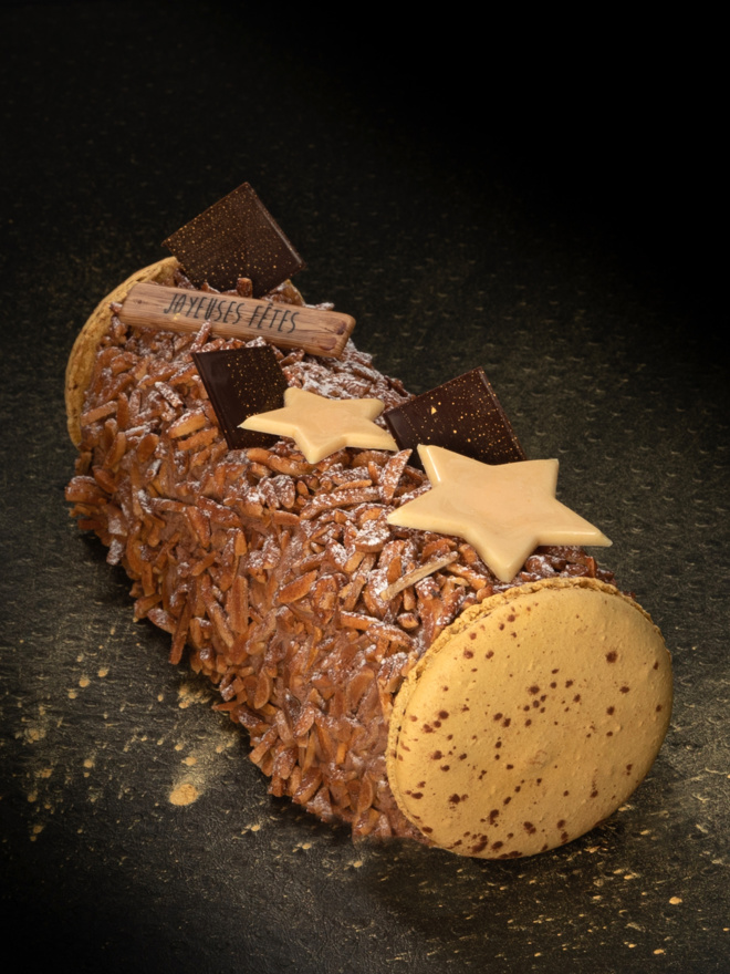 Bûche "Progrès glacé"© Bûche "Progrès glacé"©