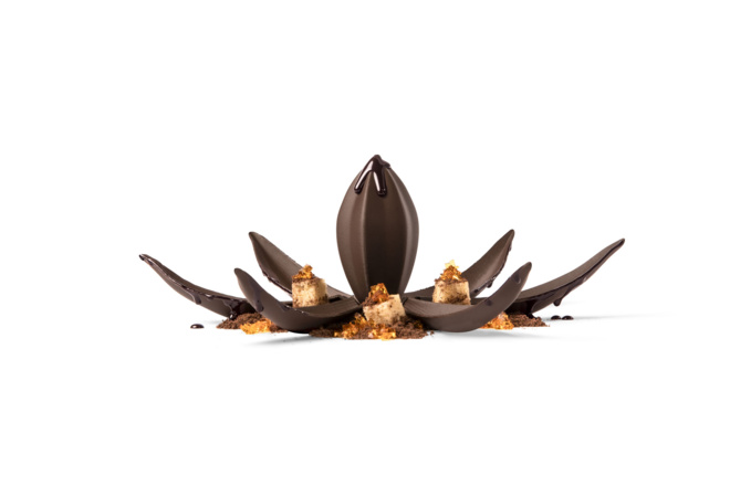 Fleur-de-cacao-3D