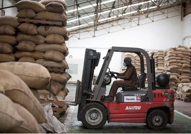 entrepôt de cacao entrepôt de cacao
