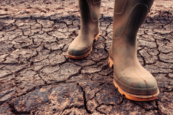 l'impact climatique sur la production de cacao l'impact climatique sur la production de cacao