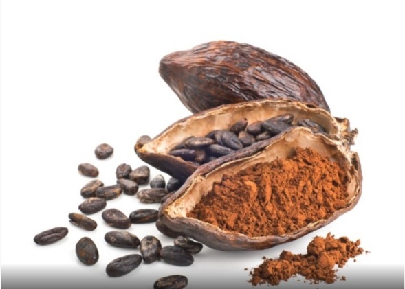 flavanol de cacao