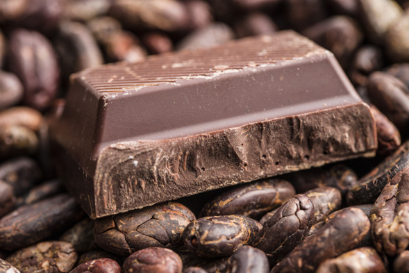 chocolat noir fève de cacao