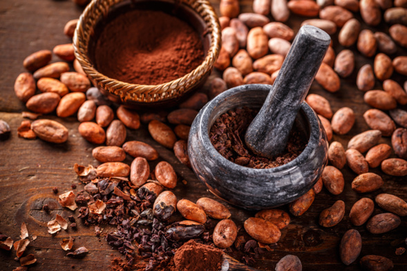 fève de cacao fève de cacao