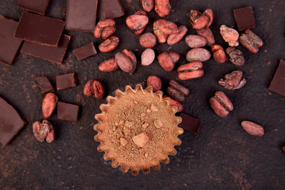 fève de cacao fève de cacao