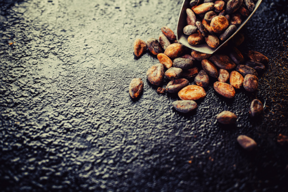 fève de cacao fève de cacao