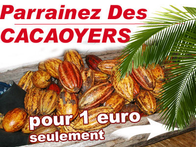 Parrainer 1 cacaoyer pour seulement 1euro ! Parrainer 1 cacaoyer pour seulement 1euro !
