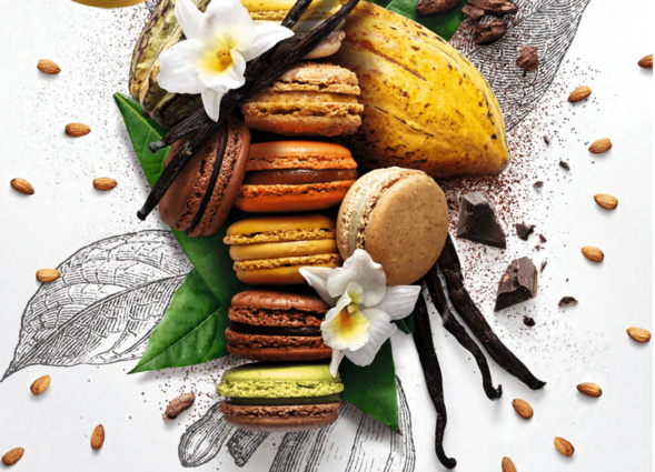 Le jour du Macaron dédié aux enfants de Madagascar Le jour du Macaron dédié aux enfants de Madagascar