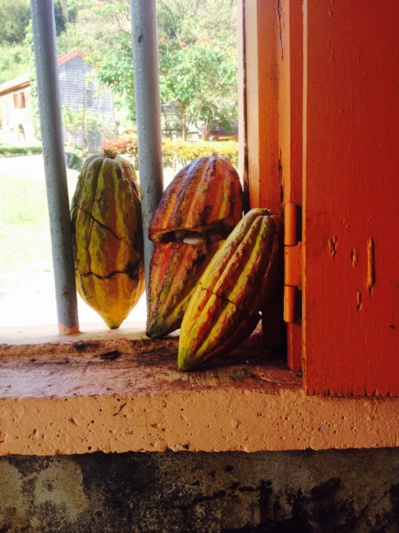 "bean to bar" "bean to bar"