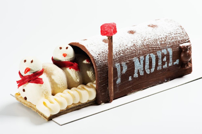 Bûche Enneigée© Hervé le Reste-Iris Studio Bûche Enneigée© Hervé le Reste-Iris Studio