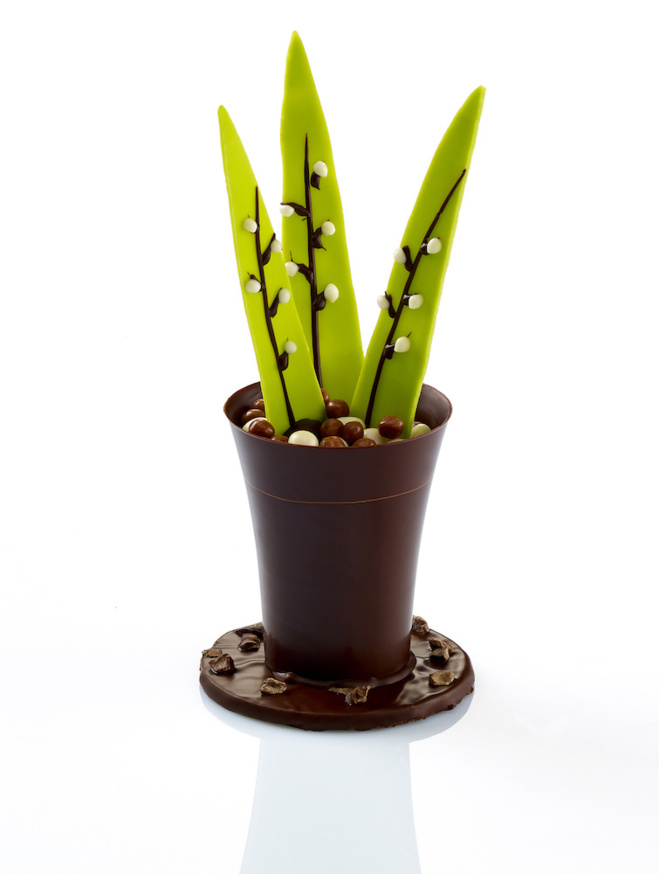 Binr de muguet par Henri Leroux© Binr de muguet par Henri Leroux©