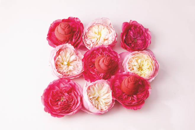 Les roses de Lenôtre© Les roses de Lenôtre©