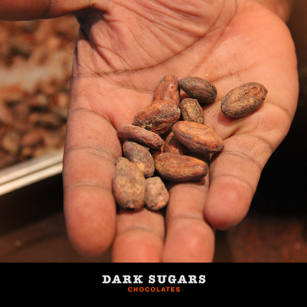 Fèves de cacao- Dark Sugar©