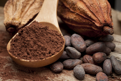 Poudre de cacao, fèves et cabosse©