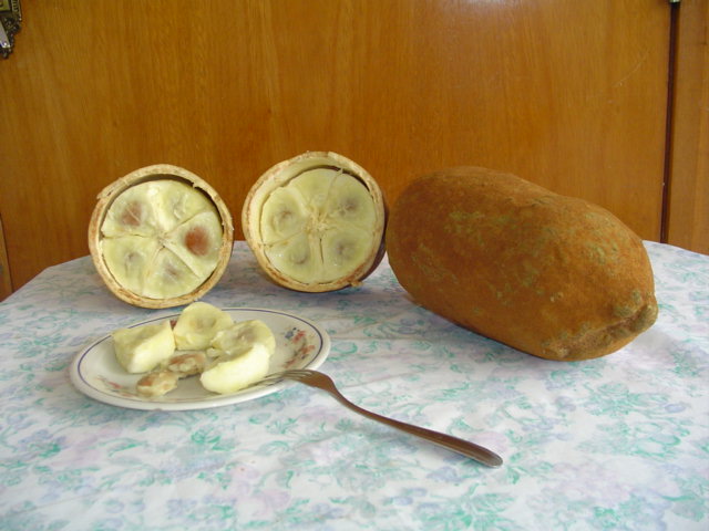 Les fèves du Cupuaçu©