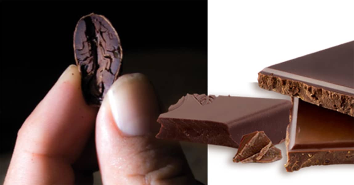gout du chocolat sur la base de mesures tribologiques