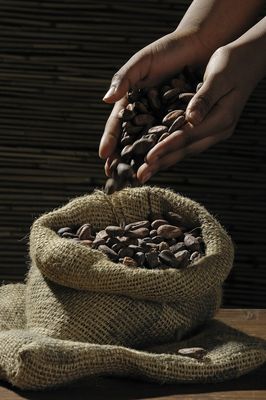 La Révolution du Cacao - Singapour