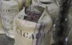 Escapade Gourmande et Equitable : La Chocolaterie de Puyricard au Paradis du Cacao