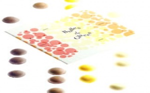 Glaces, sorbets et dessert glacés : Volupté et légèreté