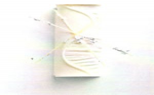 La Bûche de Noël 'Brilliant'