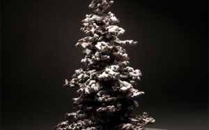 Patrick Roger revisite le sapin de Noël !