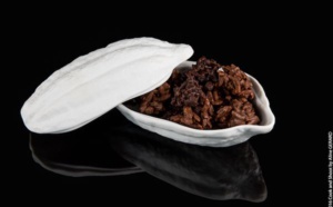 Un chocolat sucré, sans sucre, savoureux et délicieux pour une bonne santé!