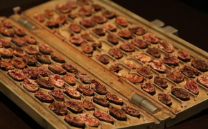 Swiss Sustainable Cocoa Platform : une initiative suisse à suivre