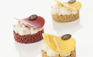 Yuzu et framboise : les nouvelles couvertures de la gamme Inspiration !