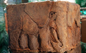 Des éléphants cubiques…