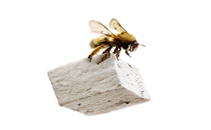 Plaisir fugace et aérien, la guimauve !