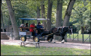 La Grande Chasse aux Oeufs 2008 au Château de Valençay