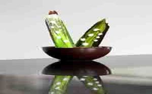 Patrick Roger fête le travail !