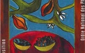 L’odyssée du chocolat, entre science et saveurs