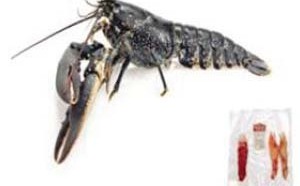 Sirha 2013 : Les lauréats des Grands Prix Sirha Innovation Chocolat