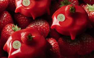 CONSTELLATION à la fraise en gourmandise raisonnée