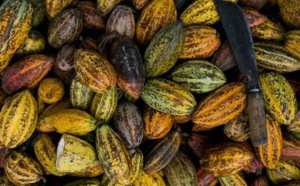 La Chocolat ’Hier et sa création régionale : la Cagouille Saintongeaise