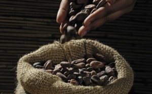 Le cacao ivoirien : une source  d’inspiration