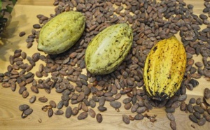 Le développement durable soutenu par Nestlé