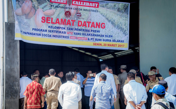Innovations pour la culture du cacao en Indonésie