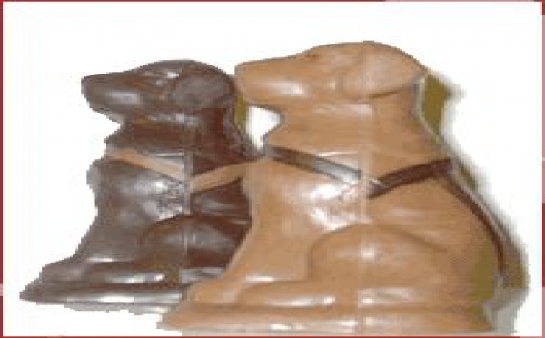 Lors du Salon du Chocolat 2003 "OPERATION NORA"