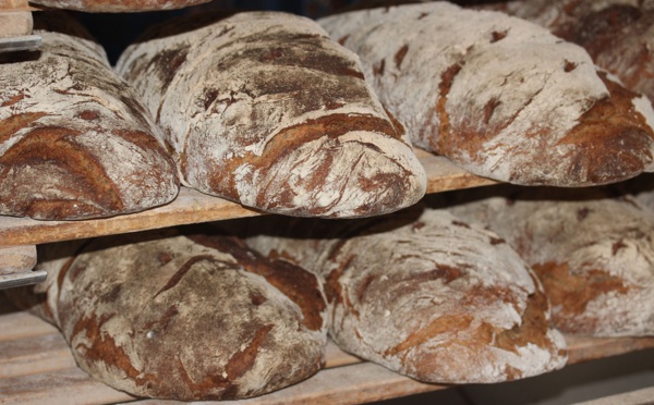 Recette pour Croustillants