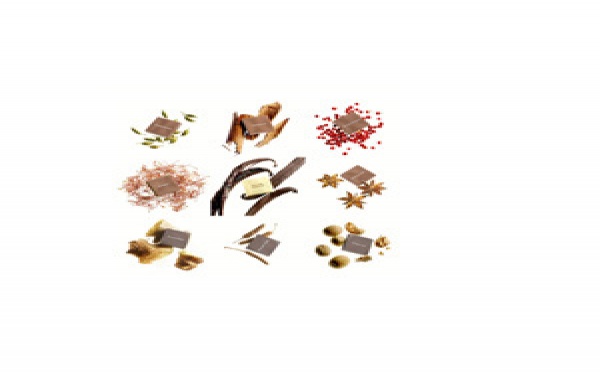 Les Saveurs du Monde épicées de Pierre Marcolini