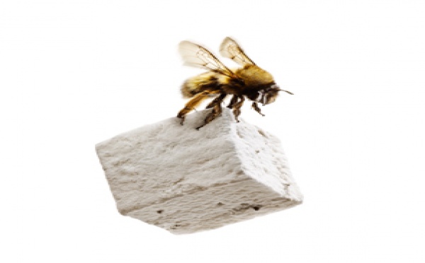 Plaisir fugace et aérien, la guimauve !